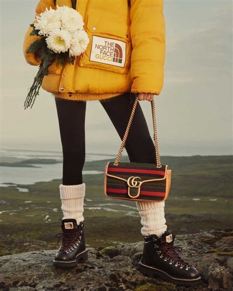 gucci north face campaign|Gucci north face shop.